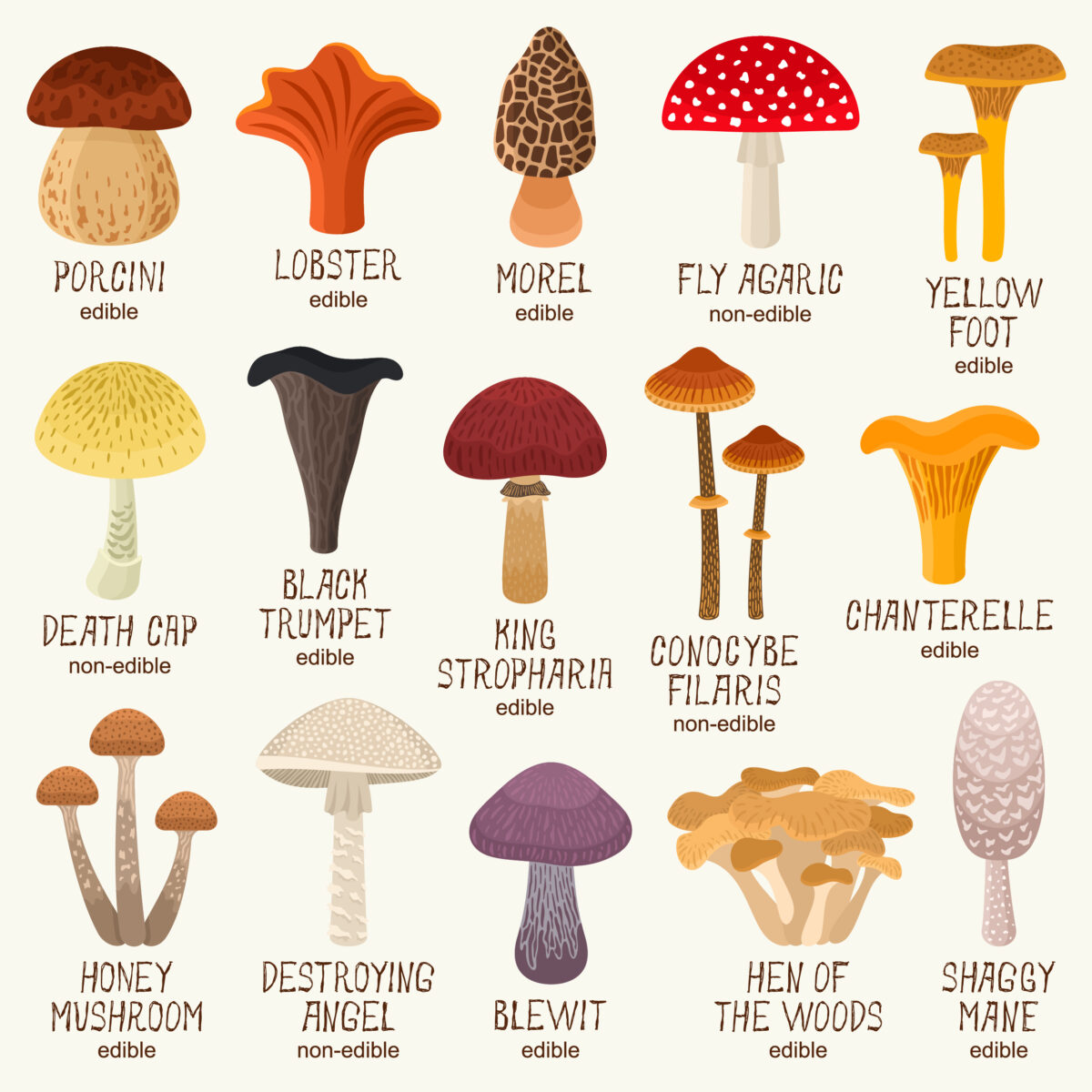 Do deer eat mushrooms complete mushroom guide deer gardener